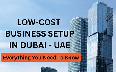 Ultimate Guide to Low-Cost Business Setup in Dubai