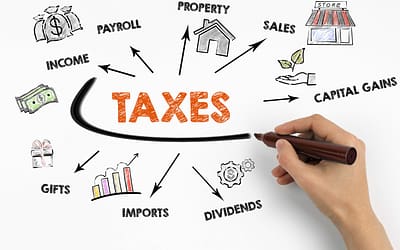 Tax Optimization Strategies for Small Businesses in the UAE